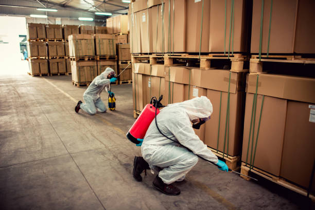 Best Wasp Removal Services  in Oshkosh, WI