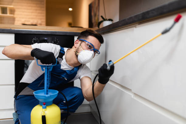 Best Affordable Pest Control Services  in Oshkosh, WI