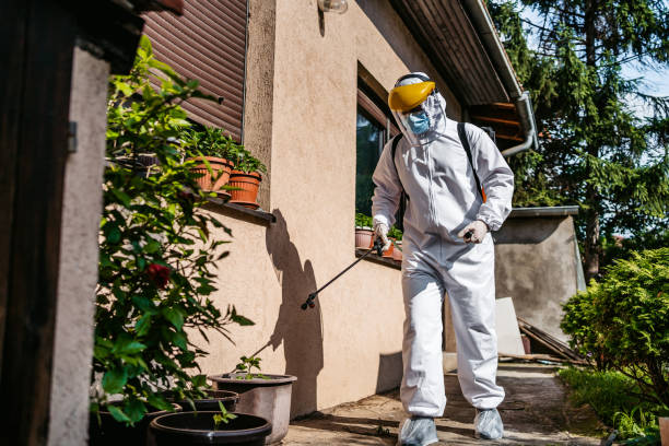 Best Affordable Pest Control Services  in Oshkosh, WI