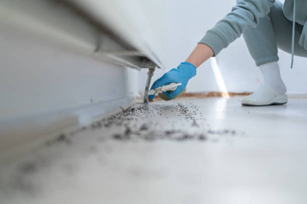 Best Residential Pest Control  in Oshkosh, WI